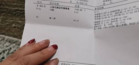 journal_insert_pic_1685800125