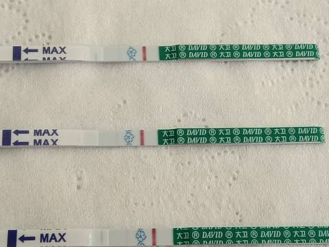 journal_insert_pic_1674604636