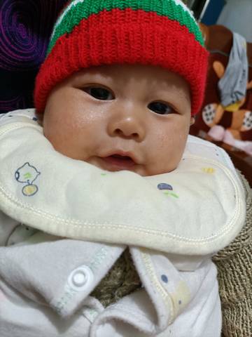 journal_insert_pic_1679261332