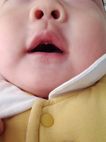 journal_insert_pic_1673435171