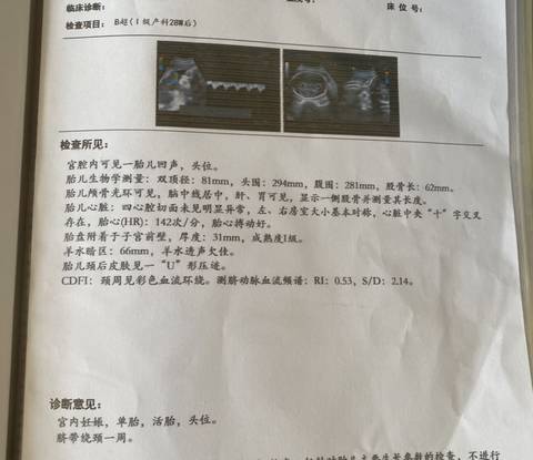 journal_insert_pic_1678537510