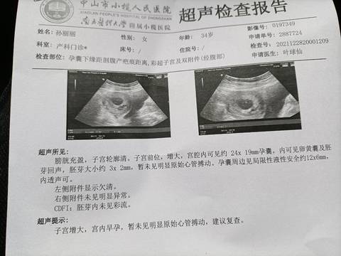 journal_insert_pic_1687773406