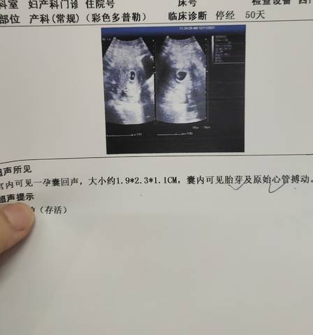 journal_insert_pic_1678039628