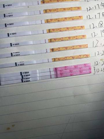 journal_insert_pic_1684535870