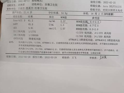 journal_insert_pic_1740916539