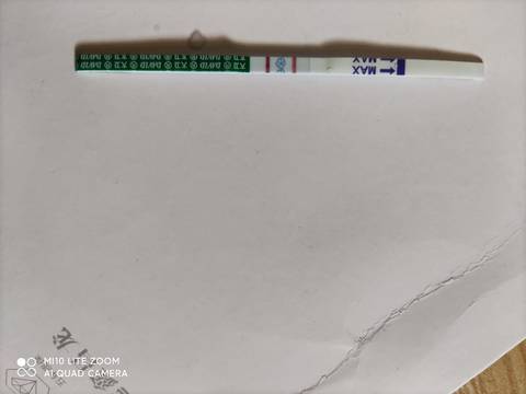 journal_insert_pic_1676880756