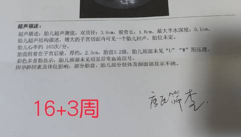 journal_insert_pic_1679196826