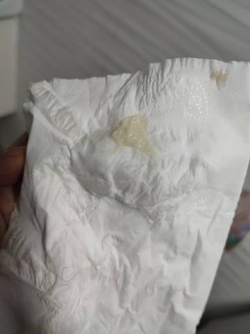 journal_insert_pic_1674255510