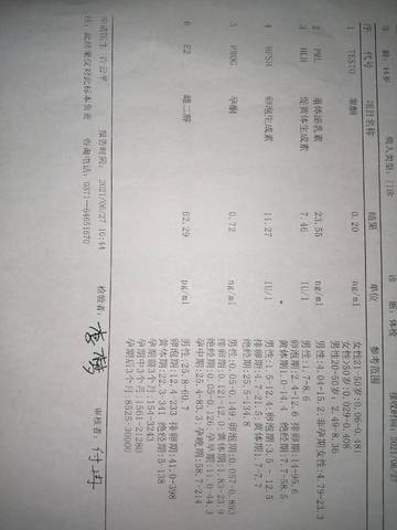 journal_insert_pic_1688044489