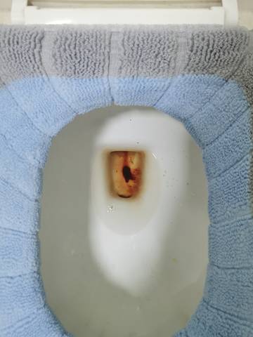 journal_insert_pic_1682398394