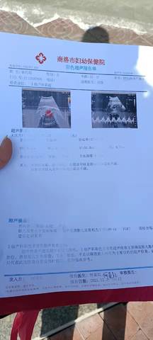 journal_insert_pic_1688023109
