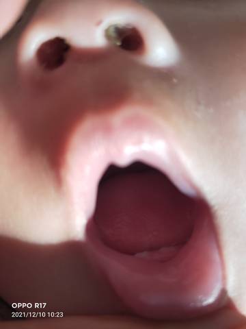 journal_insert_pic_1677254606