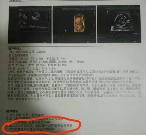 journal_insert_pic_1684300784