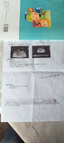 journal_insert_pic_1688904188