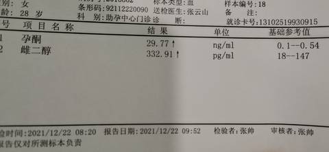 journal_insert_pic_1685125400