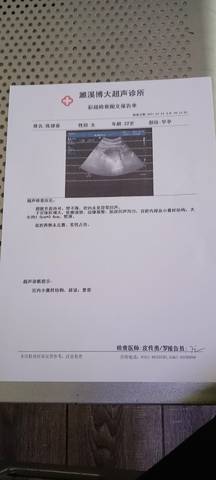 journal_insert_pic_1679947495