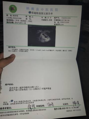 journal_insert_pic_1719539648