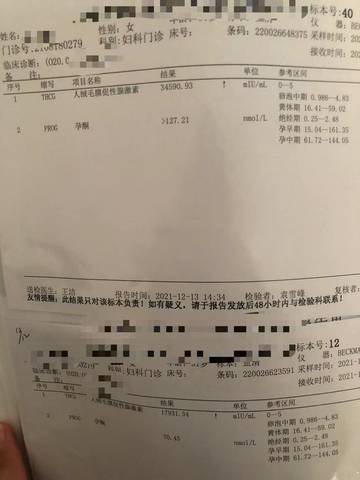 journal_insert_pic_1679177129