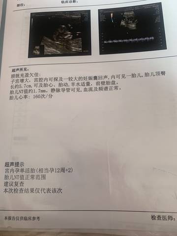 journal_insert_pic_1740837912