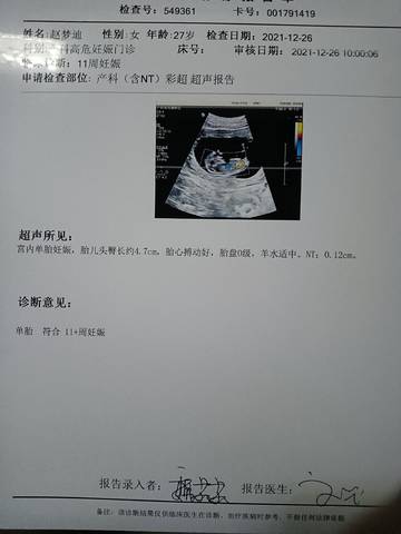 journal_insert_pic_1690234255