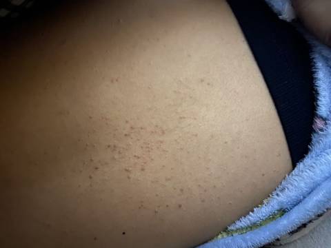 journal_insert_pic_1688552590