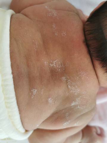 journal_insert_pic_1689539916