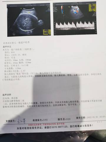 journal_insert_pic_1689998755