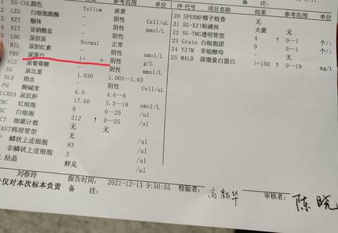 journal_insert_pic_1680001803