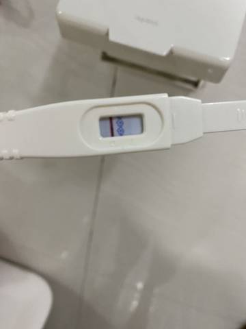 journal_insert_pic_1690499427