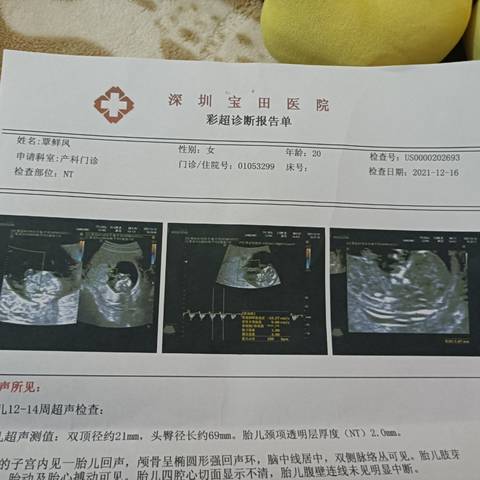 journal_insert_pic_1681038867