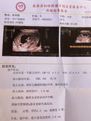 journal_insert_pic_1682488827