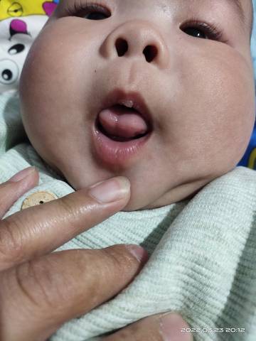 journal_insert_pic_1741135586