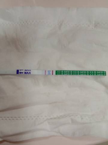 journal_insert_pic_1674636647