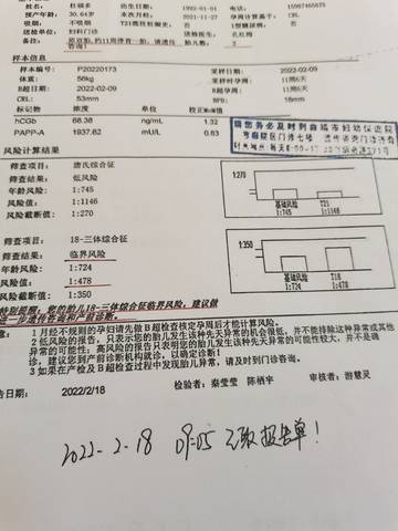 journal_insert_pic_1719425938