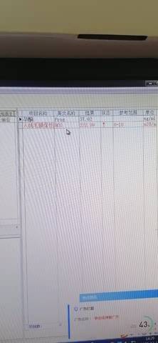 journal_insert_pic_1681027272