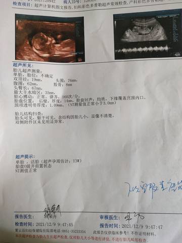 journal_insert_pic_1676692535