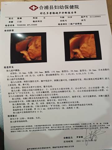 journal_insert_pic_1678202910