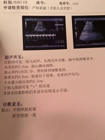 journal_insert_pic_1682669622