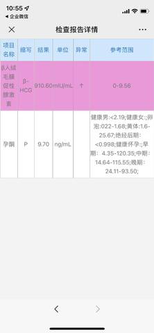 journal_insert_pic_1679967158