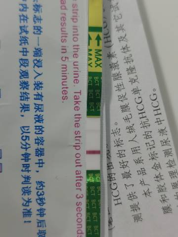 journal_insert_pic_1686301165