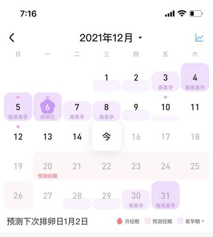 journal_insert_pic_1680102384