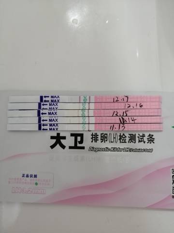 journal_insert_pic_1681631848