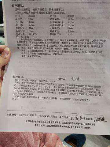 journal_insert_pic_1690188068