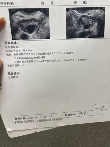 journal_insert_pic_1680994874