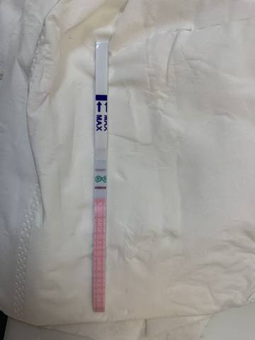 journal_insert_pic_1685724530