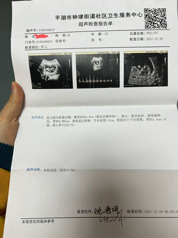 journal_insert_pic_1688372490