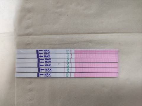 journal_insert_pic_1681303096