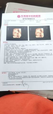 journal_insert_pic_1676173450