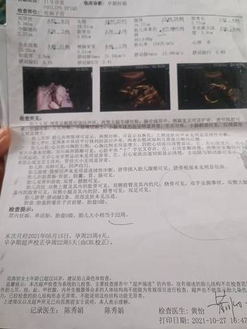 journal_insert_pic_1687539522