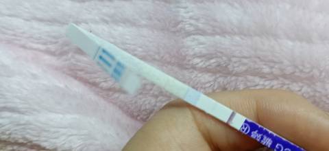 journal_insert_pic_1677188120